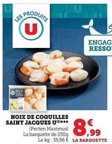 noix de coquilles saint jacques u