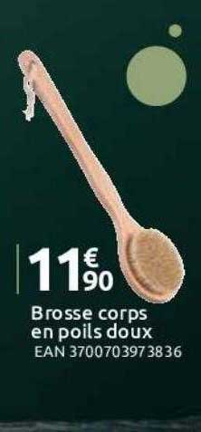 brosse corps en poils doux