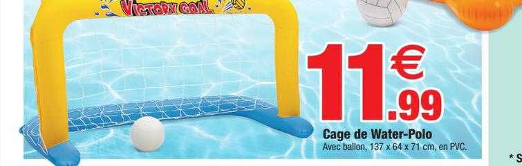 cage de water-polo