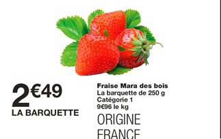 fraise mara des bois