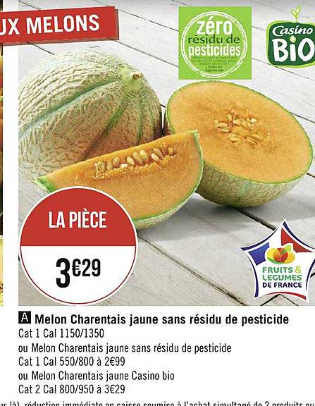 melon charentais jaune sans résidu de pesticide