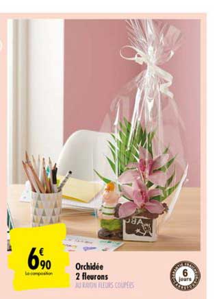 orchidée 2 fleurons