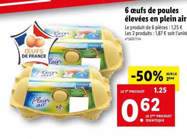 6 oeufs de poules élevées en plein air