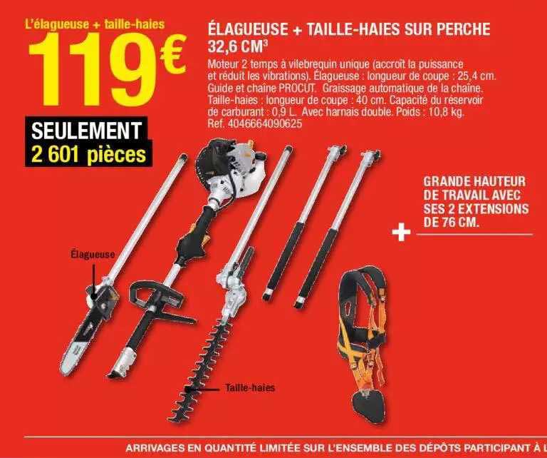 élagueuse + taille haies sur perche 32,6 cm3