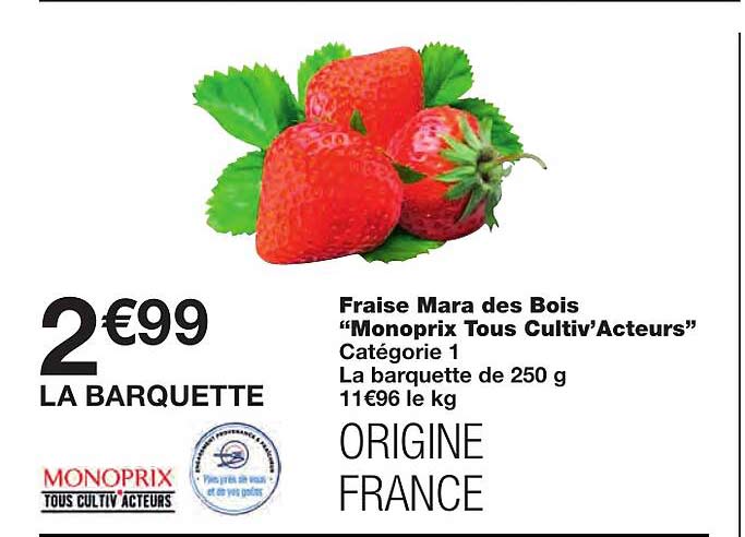Fraise Mara Des Bois "monoprix Tous Cultiv'acteurs"