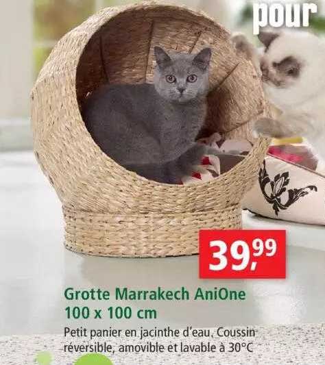 grotte marrakech anione 100 x 100 cm