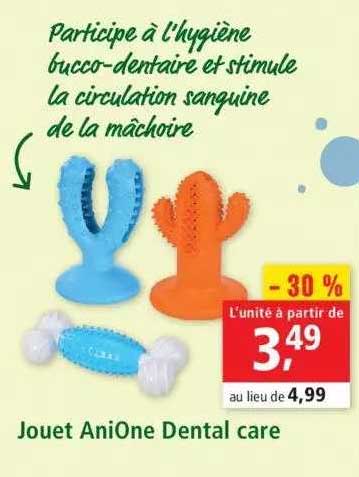 jouet anione dental care