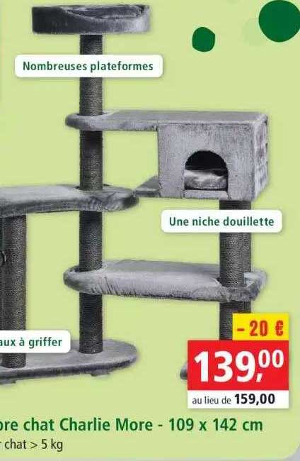 more chat charlie more 109 x 142 cm