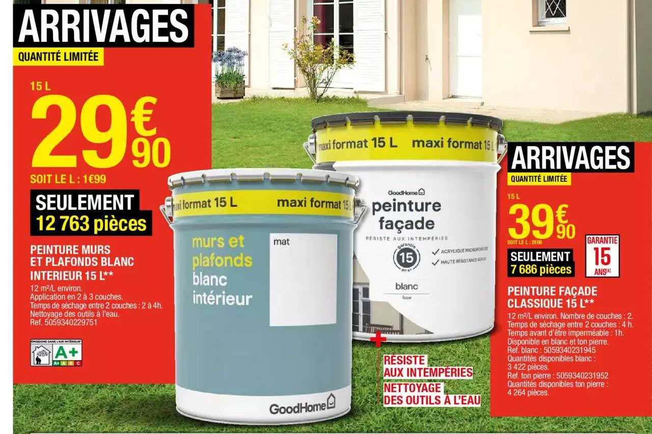 Peinture Murs Et Plafonds Blanc Intérieur 15 L, Peinture Façade Classique 15 L
