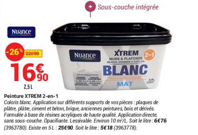 peinture xtrem 2-en-1 nuance