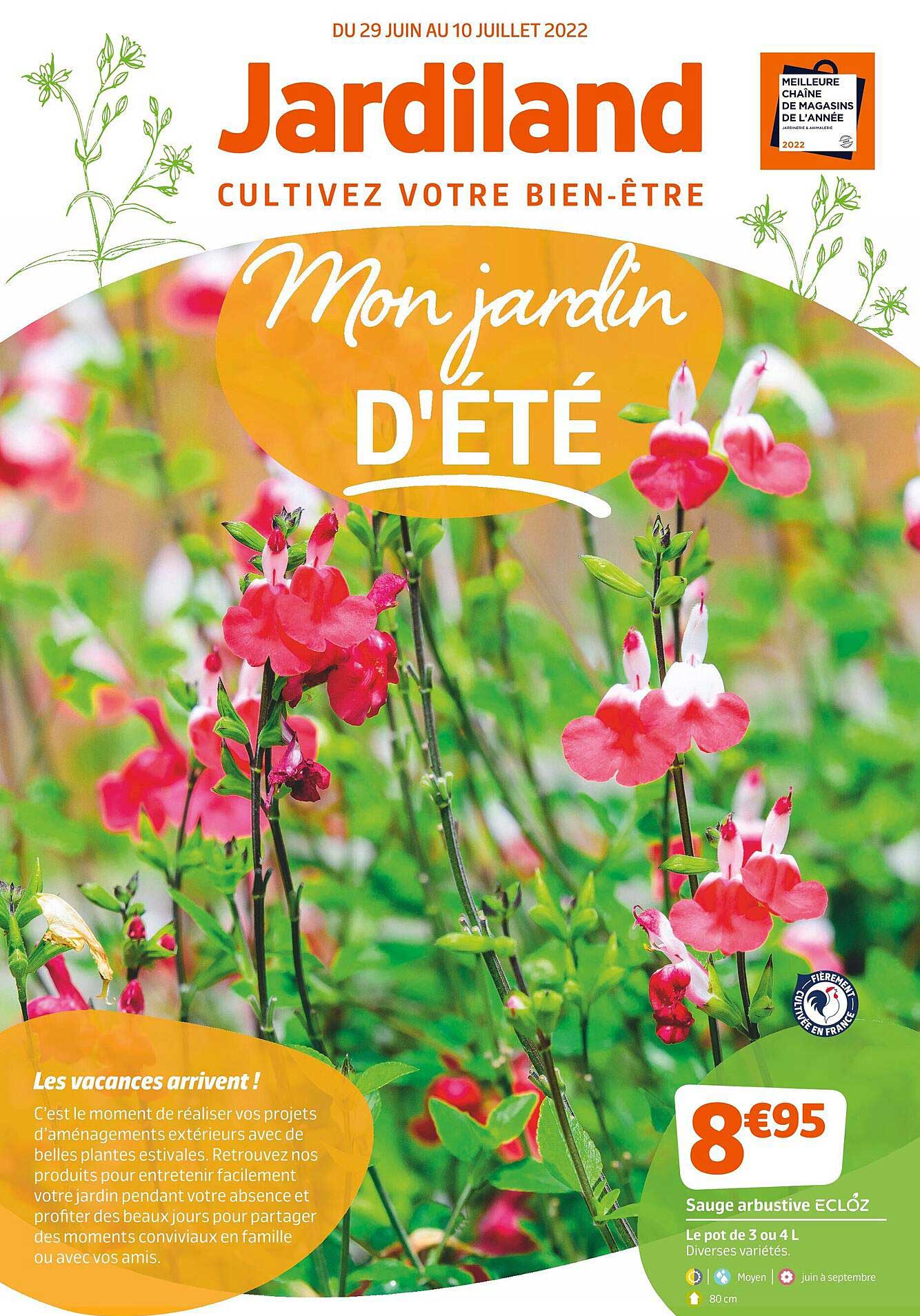 sauge arbustive ecloz