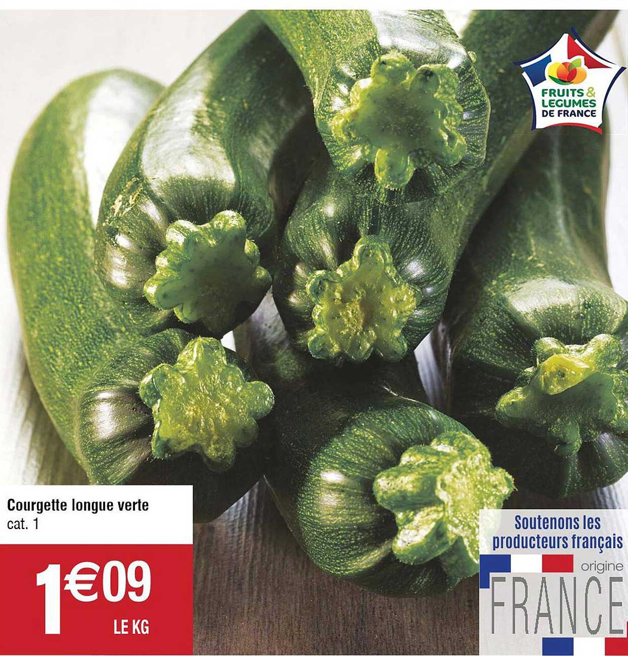 Courgette Longue Verte