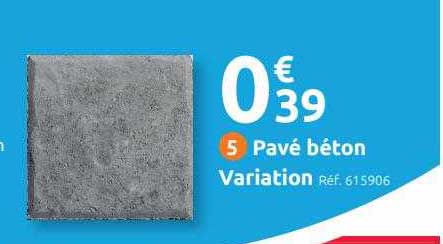 Pavé Béton Variation