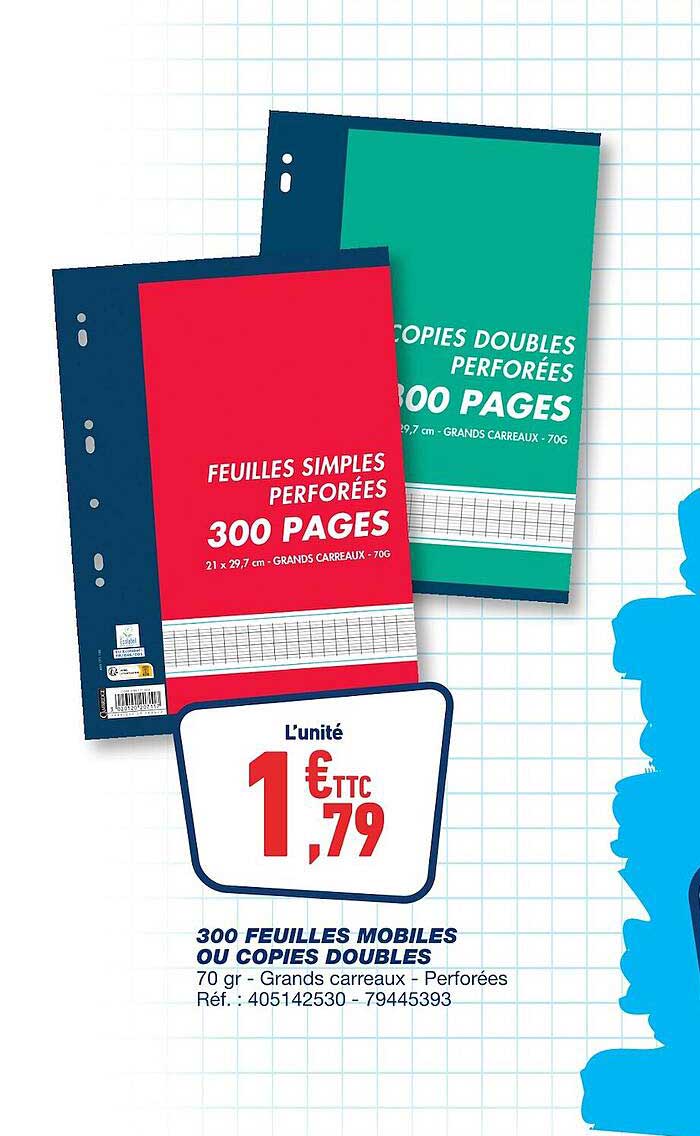 300 Feuilles Mobiles Ou Copies Doubles