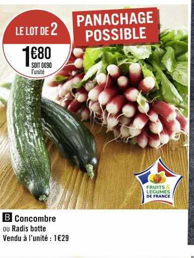 concobre our radis botte