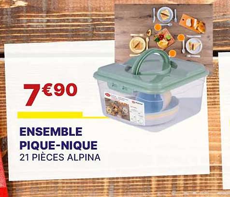ensemble pique-nique 21 pièces alpina
