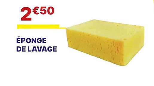 éponge De Lavage