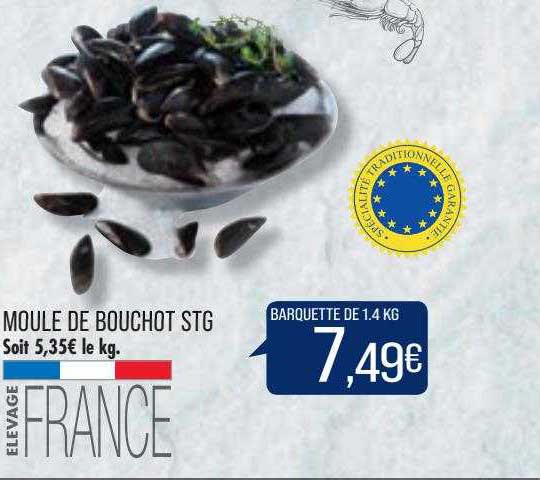 Moule De Bouchot Stg