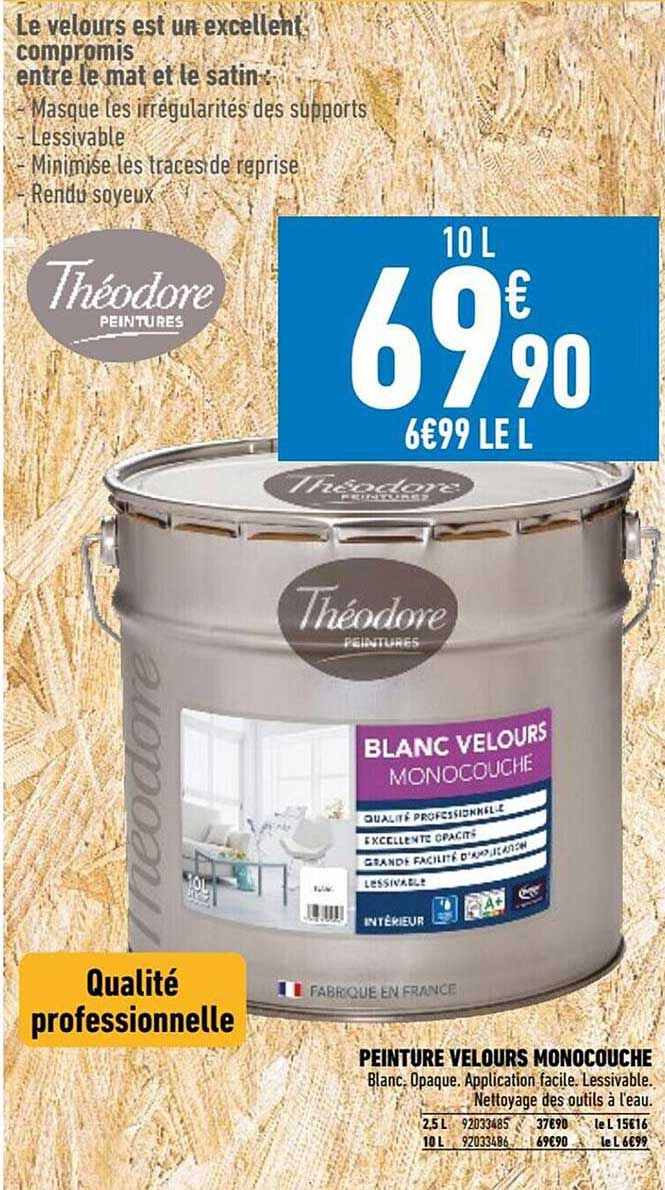 Peinture Velours Monocouche Théodore