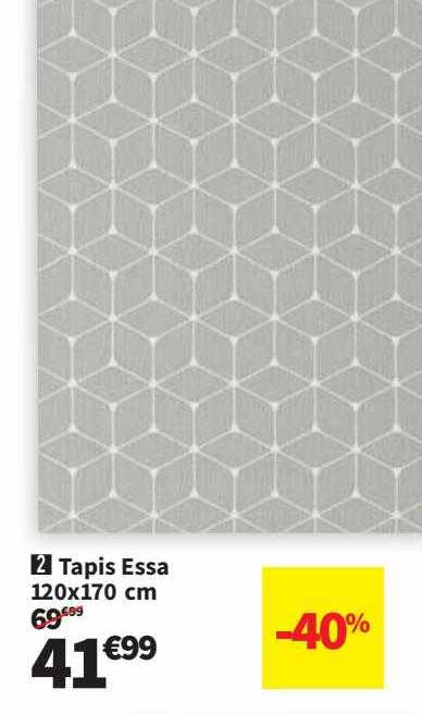 tapis essa 120 x 170 cm