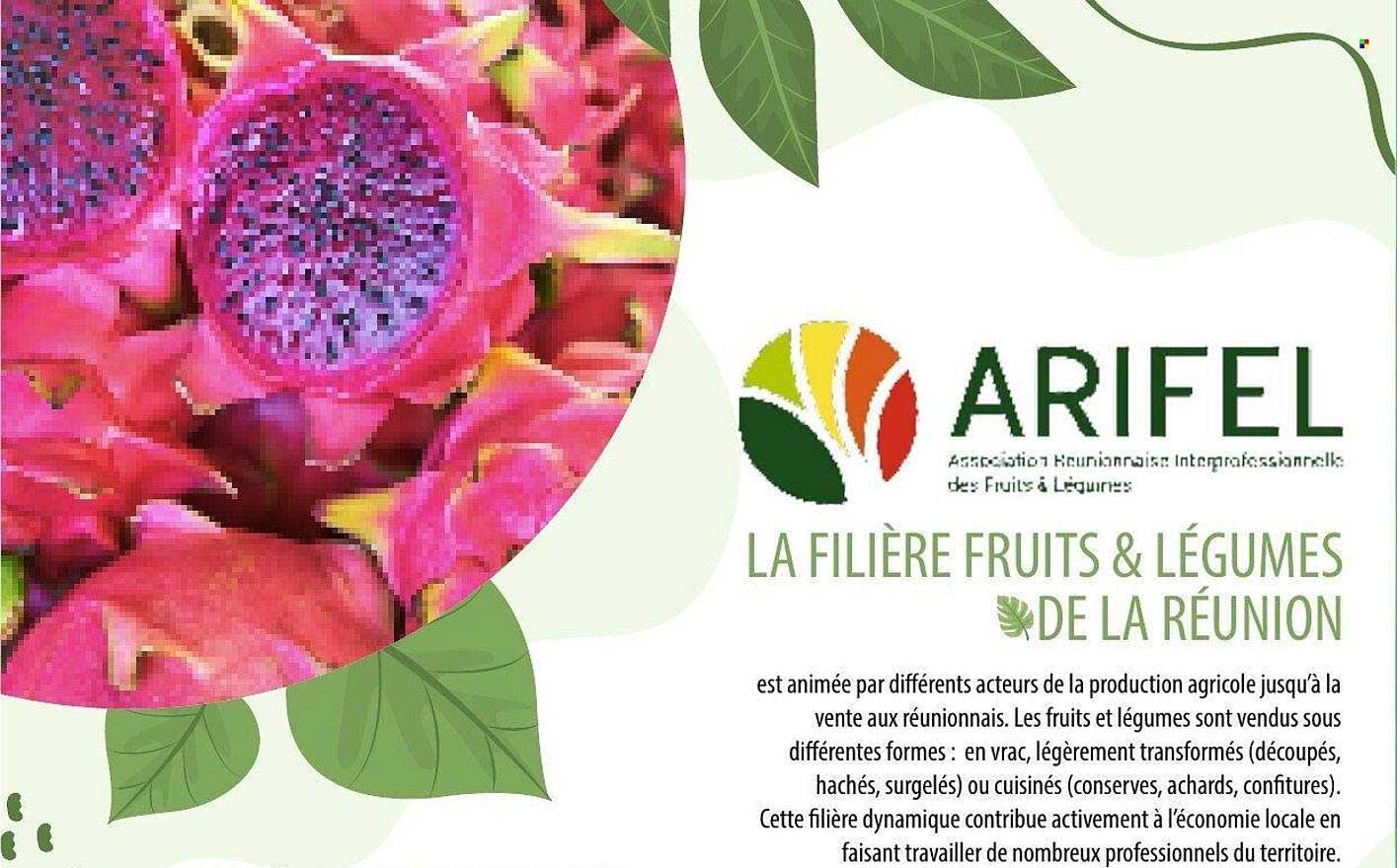ARIFEL