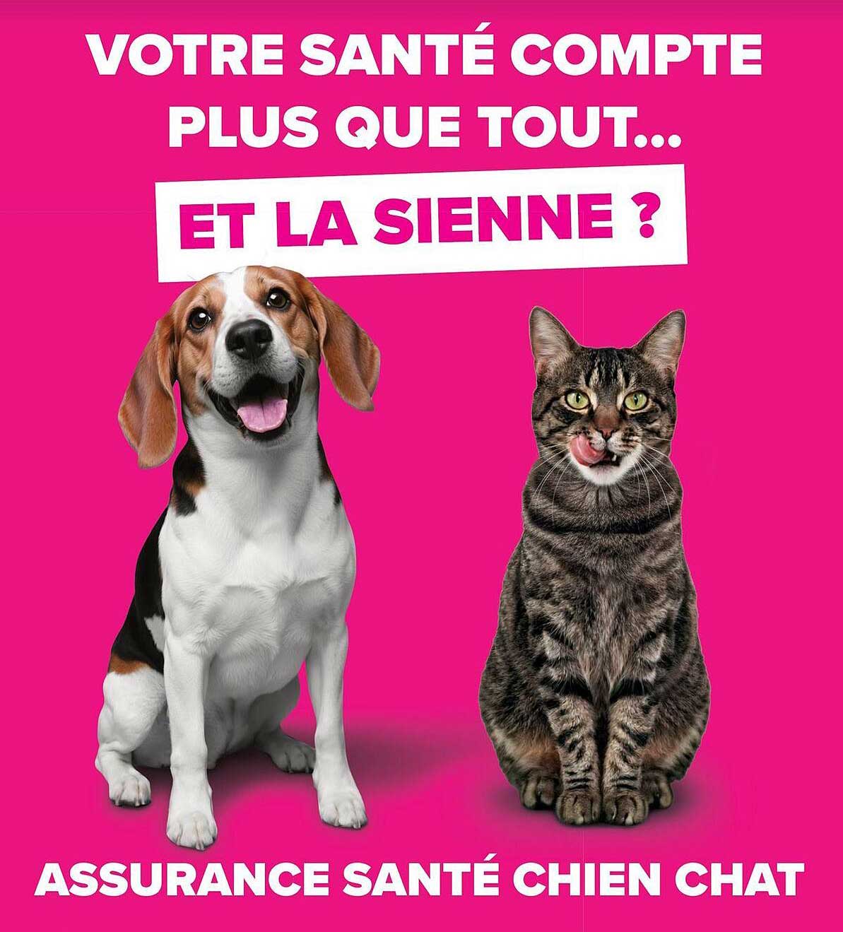ASSURANCE SANTÉ CHIEN CHAT