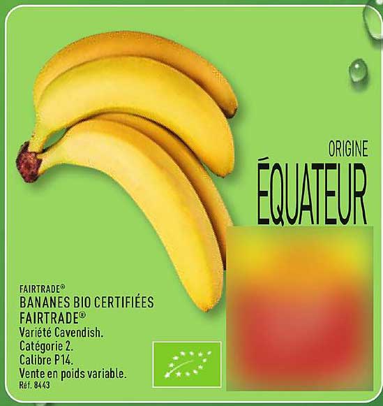 BANANES BIO CERTIFIÉES FAITRADE®