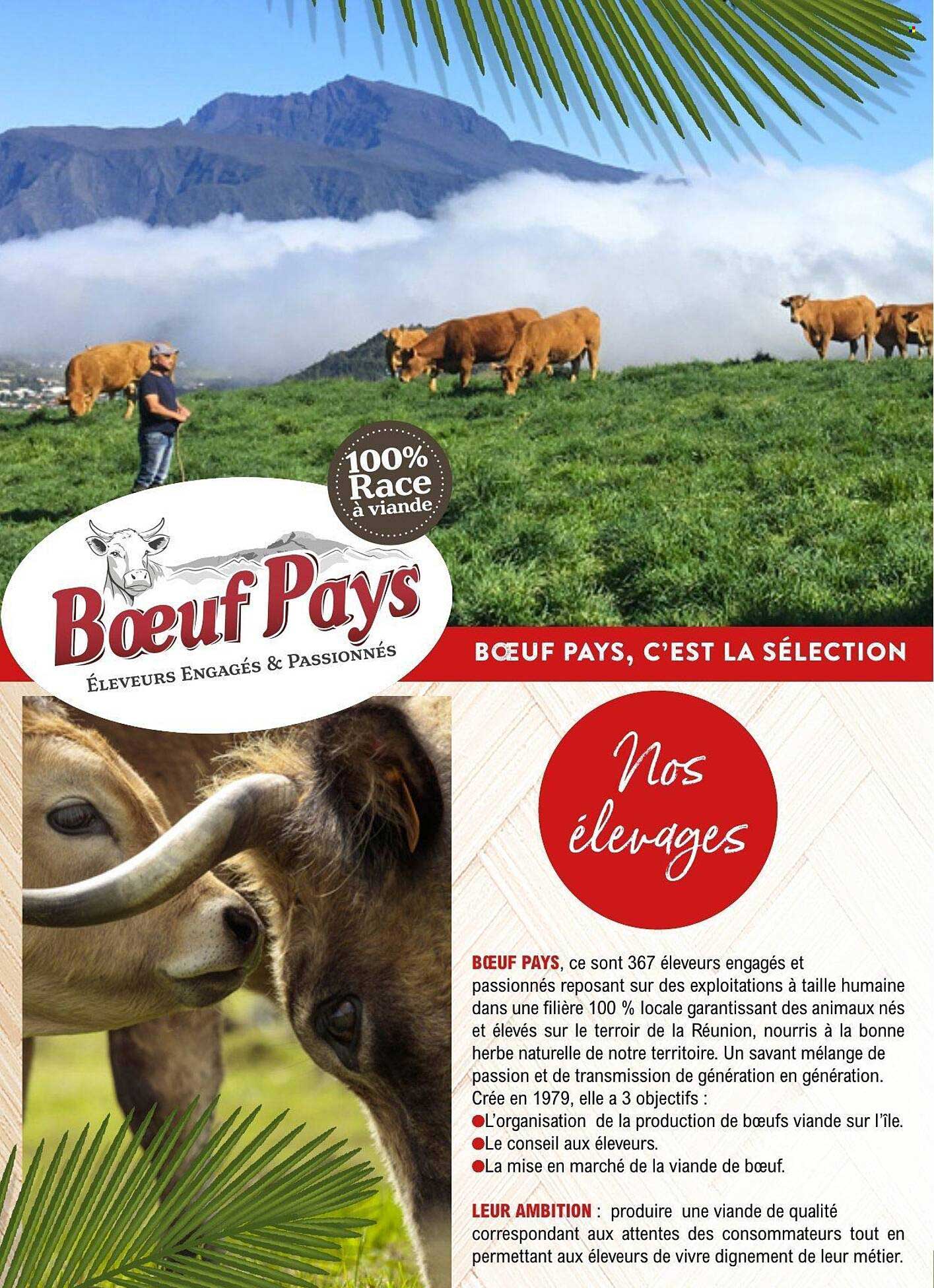 Bœuf Pays