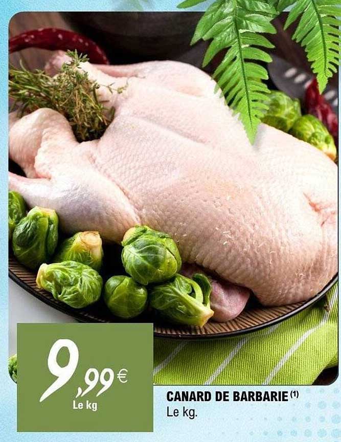 CANARD DE BARBARIE