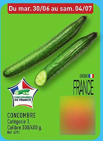 CONCOMBRE Catégorie 1. Calibre 300/400 g. Ref. 6211