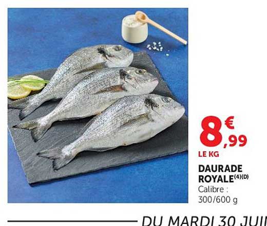 DAURADE ROYALE