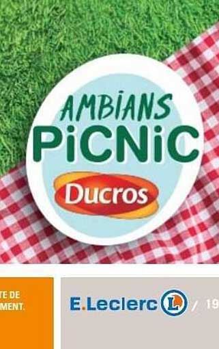 Ducros Ambiants PiCNiC