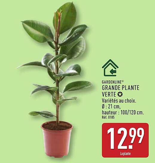 GARDENLINE GRANDE PLANTE VERTE