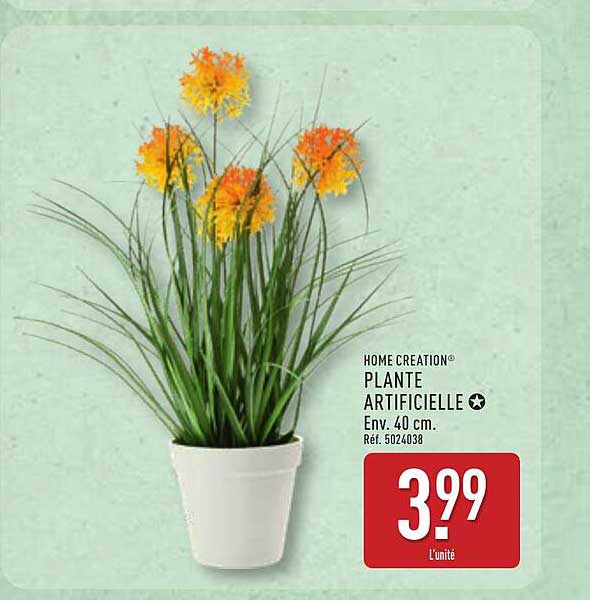 HOME CREATION PLANTE ARTIFICIELLE