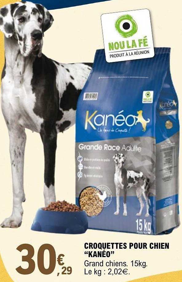 Kanéo Grande Race Adulte