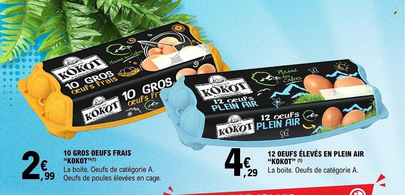 KOKOT Œufs frais