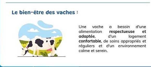 Le bien-être des vaches