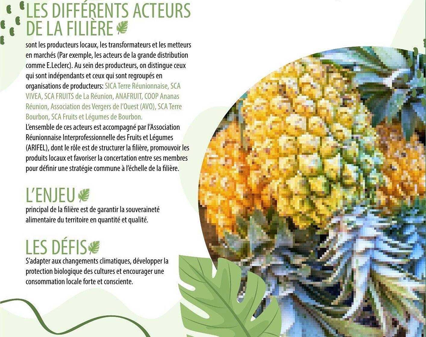 LES DIFFERENTS ACTEURS DE LA FILIERE