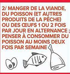 MANGER DE LA VIANDE, DU POISSON (ET AUTRES PRODUITS DE LA PÊCHE) OU DES ŒUFS 1 OU 2 FOIS PAR JOUR EN ALTERNANCE ; PENSER À CONSOMMER DU POISSON AU MOINS DEUX FOIS PAR SEMAINE
