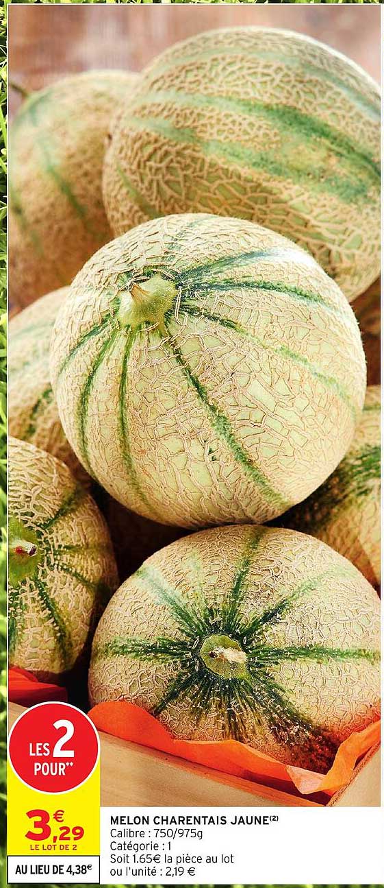 MELON CHARENTAIS JAUNE