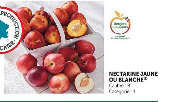 NECTARINE JAUNE OU BLANCHE