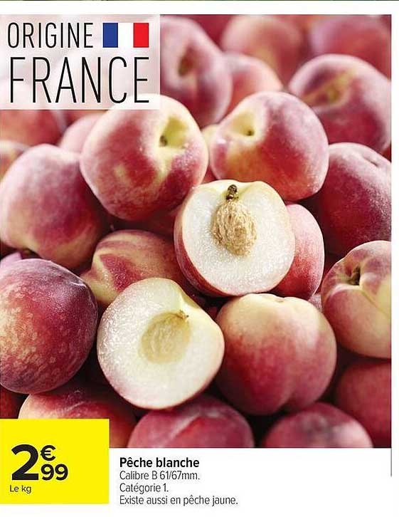 Pêche blanche