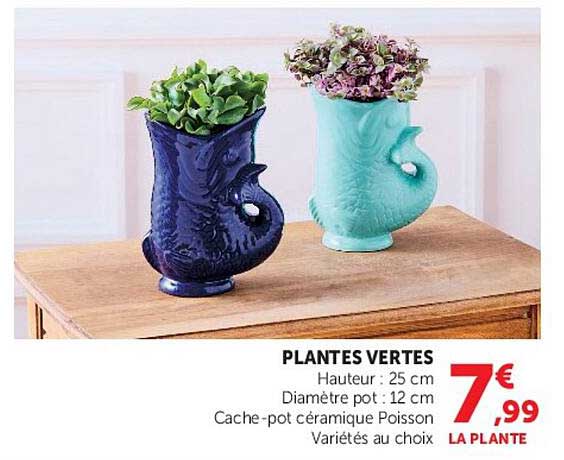 PLANTES VERTES