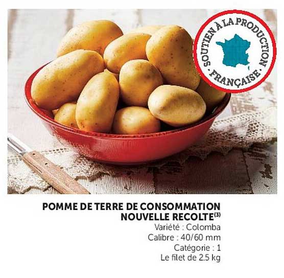 POMME DE TERRE DE CONSOMMATION