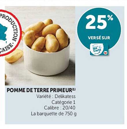 POMME DE TERRE PRIMEUR (L)