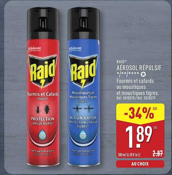 Raid AÉROSOL RÉPULSIF