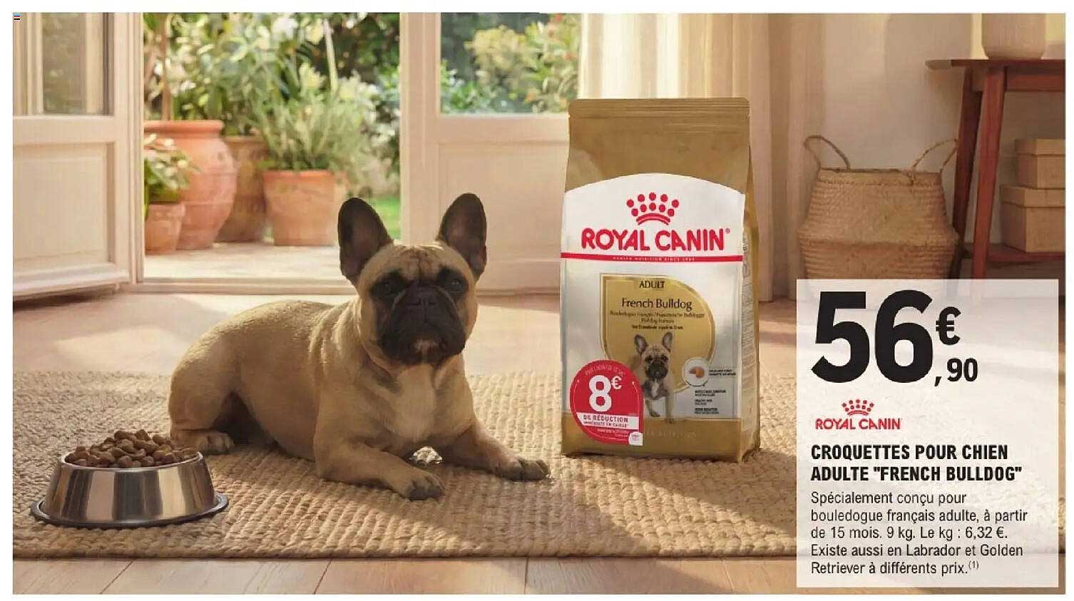 ROYAL CANIN Croquettes pour chien adulte "French Bulldog