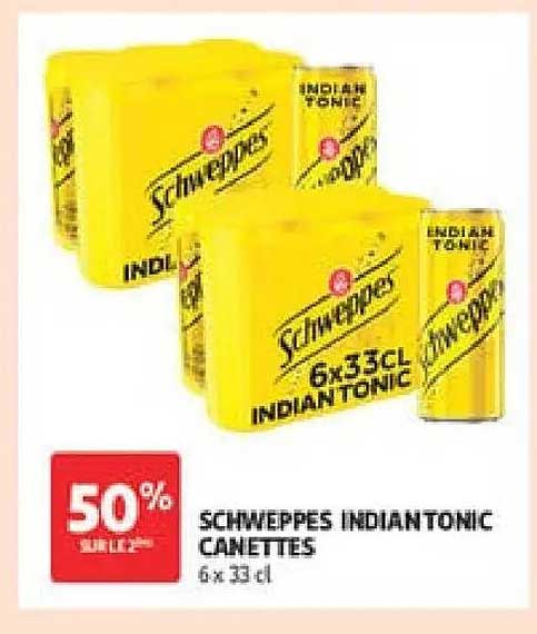 Schweppes Indian Tonic Canettes