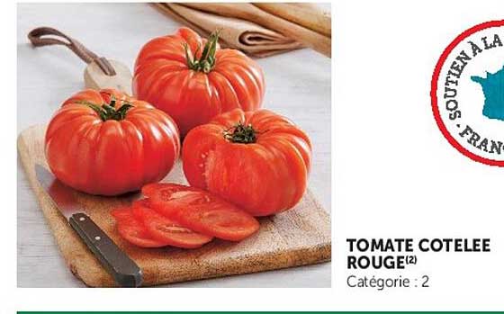 TOMATE COTELEE ROUGE