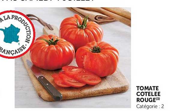 TOMATE COTELEE ROUGE